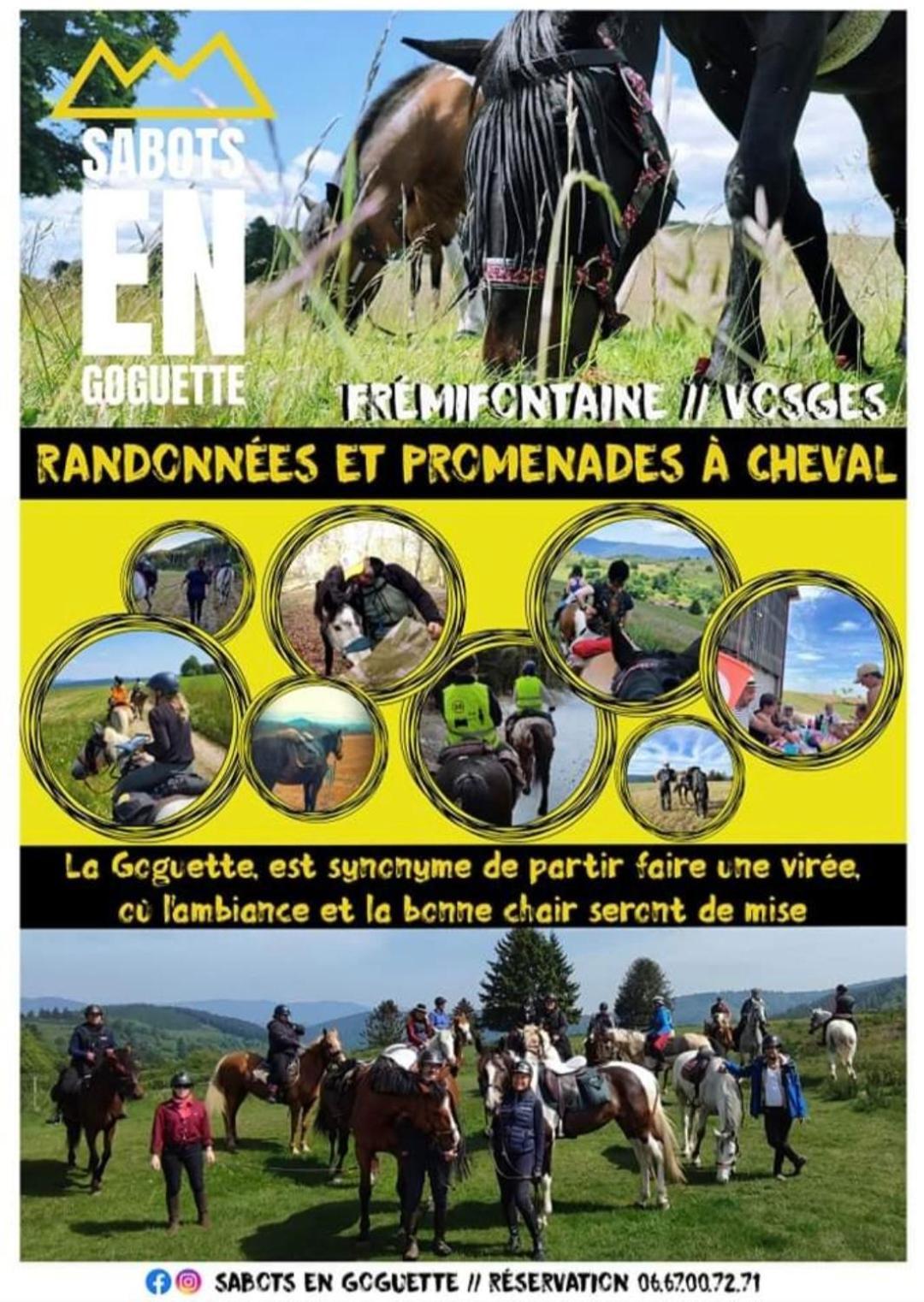 Les Vergers D'Epona "Fremifontaine Vosges" المظهر الخارجي الصورة